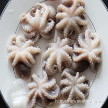 बिक्री के लिए जमे हुए बेबी ऑक्टोपस स्वादिष्ट समुद्री भोजन
